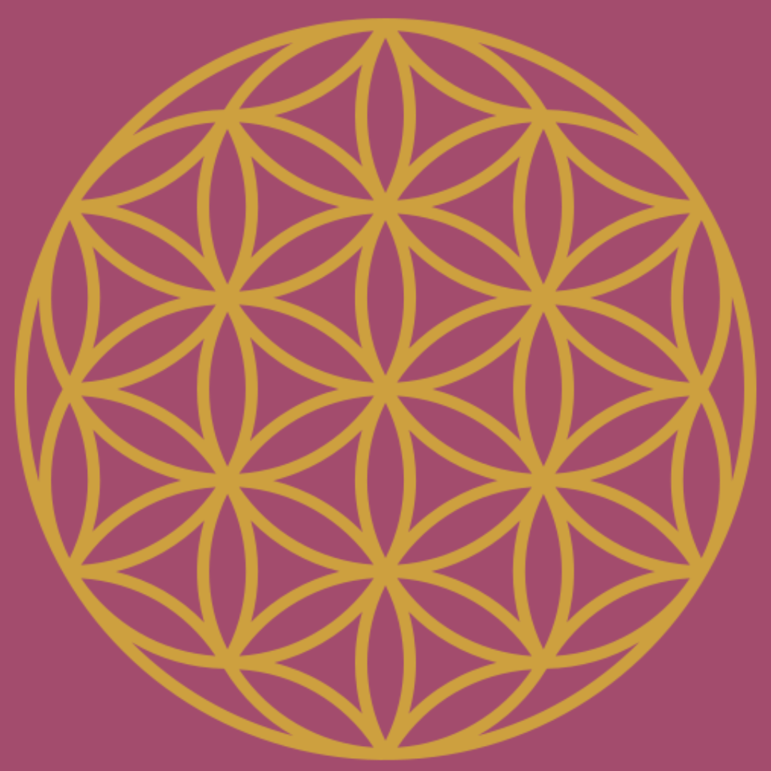 Vayu AI Logo
